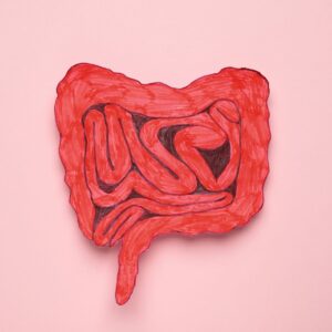 gut icon in red column