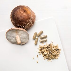 reishi mushroom functional mushroom