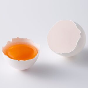 food collagen eggshell and eggs