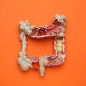 leaky gut and berberine healing