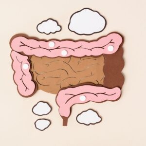 leaky gut and brain and stress