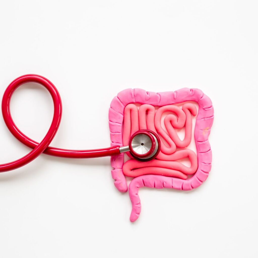 SIBO types symptoms gut health