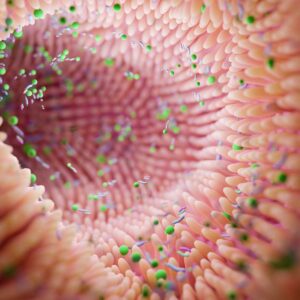 sibo leaky gut microbiota probiotics