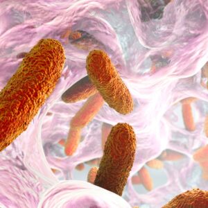 biofilm SIBO candida bacterial overgrowth SIBO symptoms grapefruit seed extract