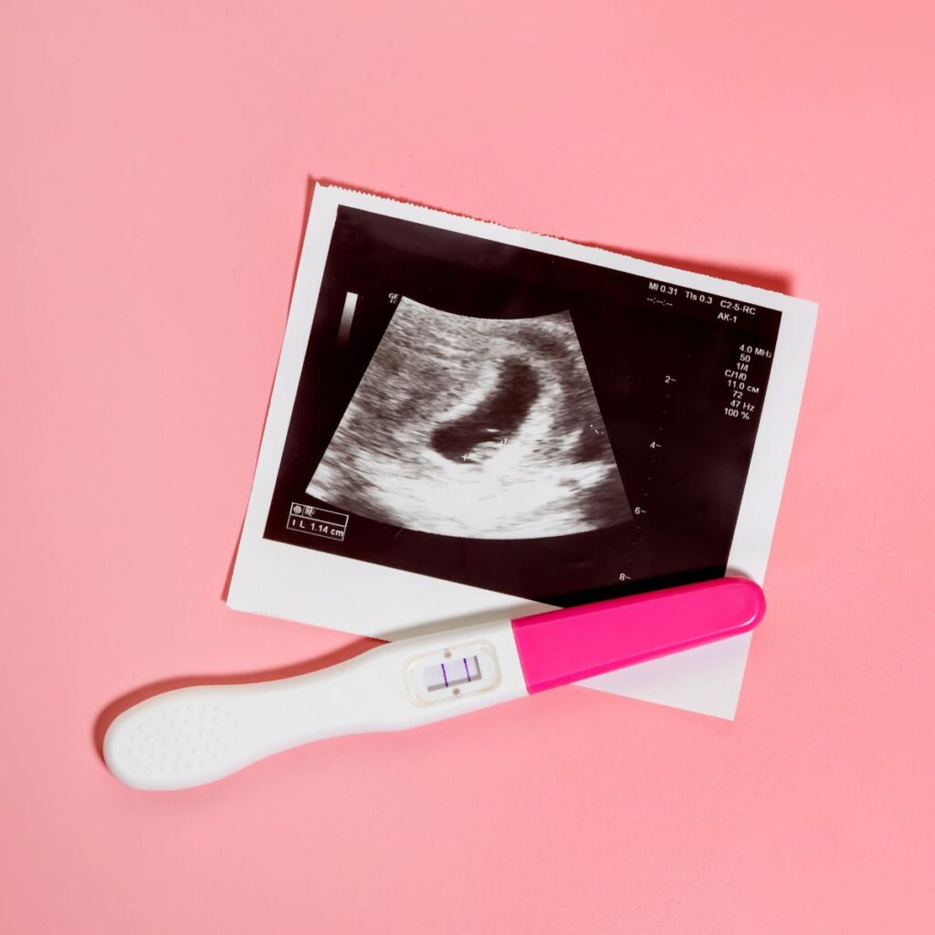 Woman fertility pregnant woman