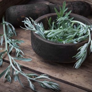 herbs wormwood to kill parasites and worms in gut