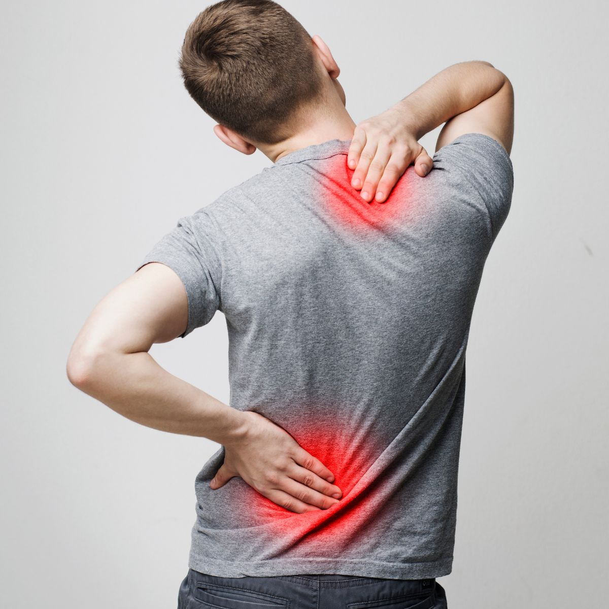 joint pain cartilage MSM