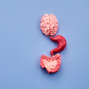 gut brain axis
