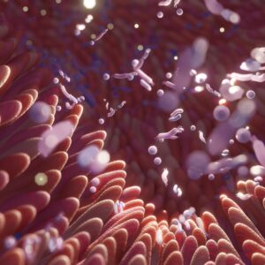 gut immunity