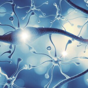 Pain receptors neurons Fibromyalgia