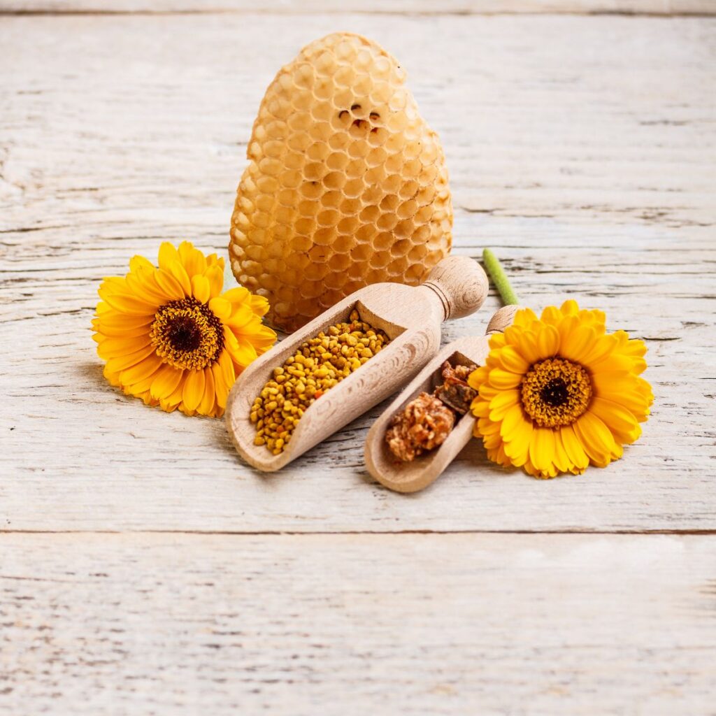 bee honey propolis benefits