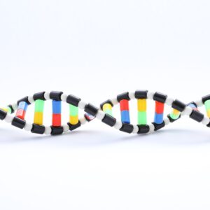 DNA NMN and NAD+ for energy and healthy aging