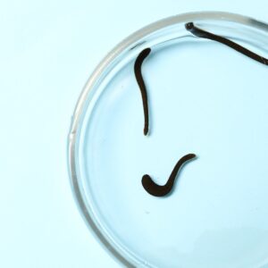 parasite cleanse black cumin seed oil